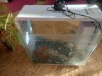 klein aquarium 10 euro, Tickets en Kaartjes, Kortingen en Cadeaubonnen