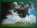 (1774) Kaart: NOORD-BRABANT / West Brabantse dijken, Verzenden, Gelopen, Noord-Brabant