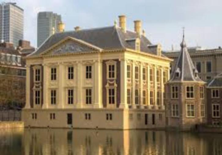 Exclusieve avondopenstelling. Mauritshuis in Den Haag., Tickets en Kaartjes, Musea, Twee personen, Ticket of Toegangskaart