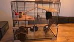 Ferplast knaagdierenkooi 59.5x39x52.5 cm, Muis, Januari, Meerdere dieren, Tam