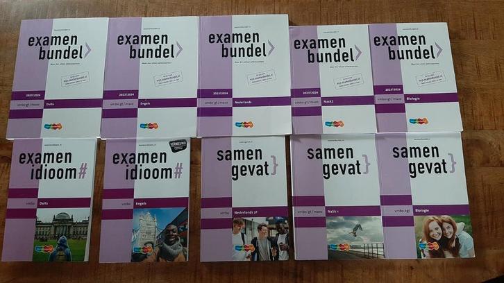 Examenbundels, examenidioom en samengevat 2024, Boeken, Schoolboeken, Zo goed als nieuw, Engels, VMBO, Ophalen of Verzenden