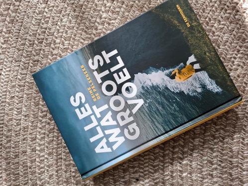 Reine De Pelseneer - Alles wat groots voelt, Boeken, Kinderboeken | Jeugd | 13 jaar en ouder, Zo goed als nieuw, Ophalen of Verzenden