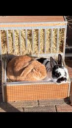 Gezocht wilgentakken, Ophalen, Volle zon, Overige soorten, Minder dan 100 cm