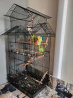 Mooie kooi breed 44cm - hoog 100 cm., Dieren en Toebehoren, Vogels | Hokken en Kooien, Ophalen of Verzenden, Zo goed als nieuw