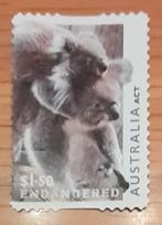 AUSTRALIE 2024 : KOALAS IN DANGER S.A, Ophalen of Verzenden