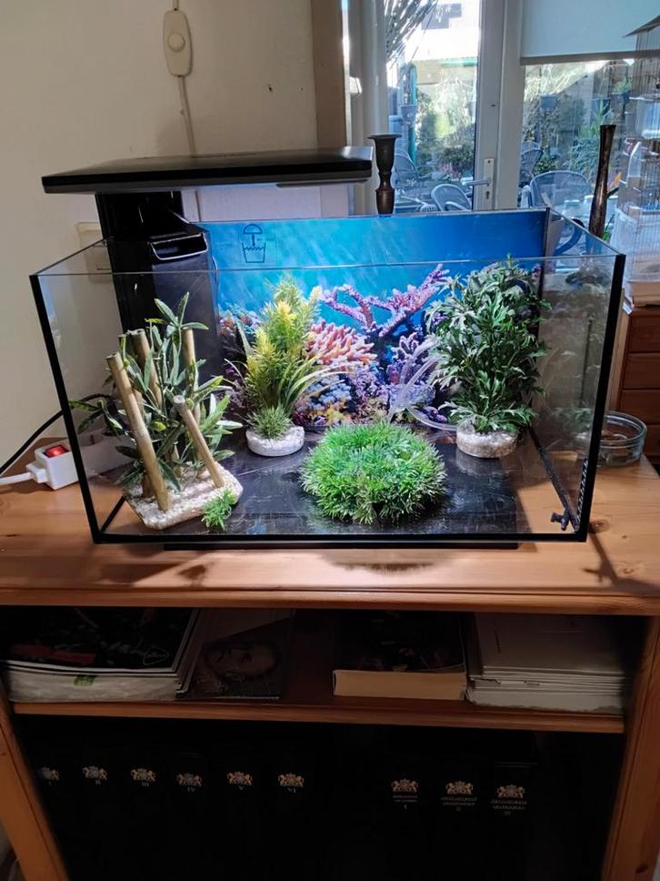 Aquarium Super Ffish 2 mnd oud, Dieren en Toebehoren, Vissen | Aquaria en Toebehoren, Zo goed als nieuw, Ophalen