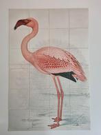 Ixy flamingo xxl 120x80cm Zo goed als nieuw, Antiek en Kunst, Kunst | Litho's en Zeefdrukken, Ophalen of Verzenden