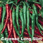 Biologische zaden moestuin: peper, bonen, doperwten, paprika, Ophalen of Verzenden, Volle zon, Zaad