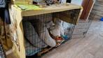 Honden bench grote 106x77x70D cm, Dieren en Toebehoren, Ophalen, Zo goed als nieuw