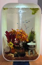 Complete BiOrb Life 60L MRC met garnalen en Neontetra's, Dieren en Toebehoren, Vissen | Aquaria en Toebehoren, Ophalen, Zo goed als nieuw