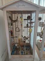 2 agapornissen (dwergpapegaaien) met voliere, Ophalen of Verzenden, Aluminium, Volière