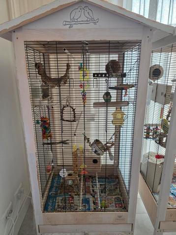 2 agapornissen (dwergpapegaaien) met voliere beschikbaar voor biedingen