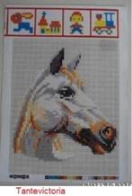 Ministeck boek boekje voorbeeldboek paard paarden, Hobby en Vrije tijd, Ministeck, Ophalen of Verzenden, Nieuw, Voorbeeldboek