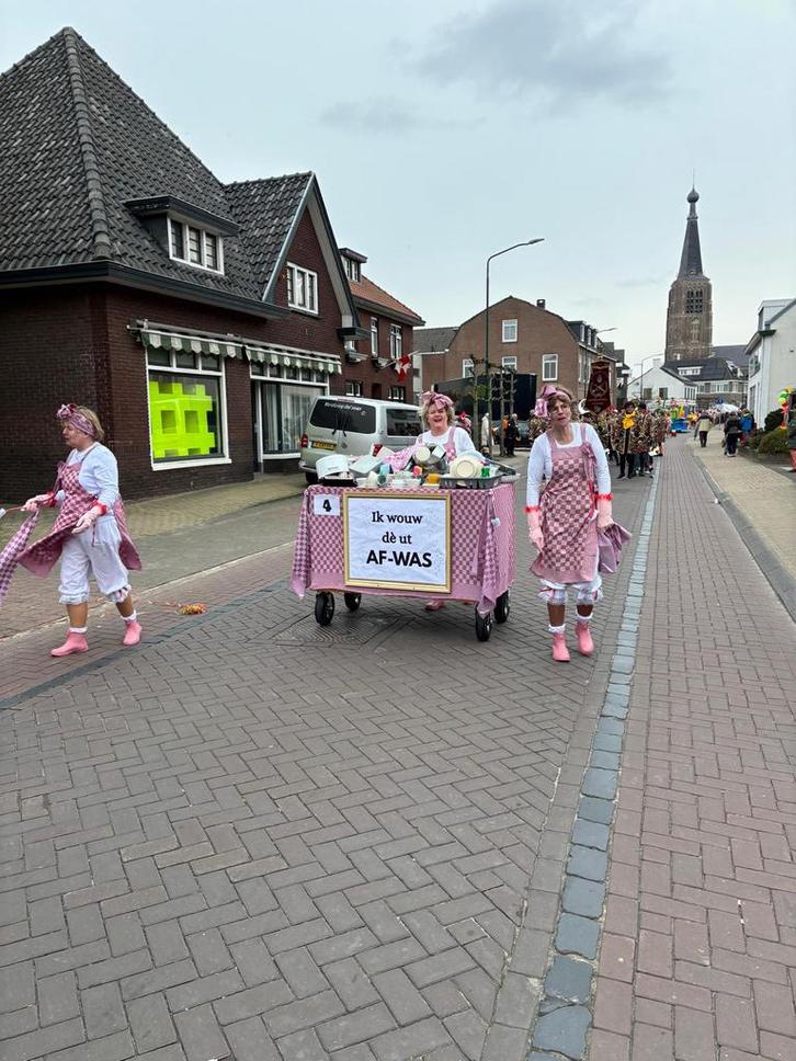 Carnaval kleine loopgroep, Kleding | Dames, Carnavalskleding en Feestkleding, Zo goed als nieuw, Carnaval, Maat 38/40 (M), Ophalen of Verzenden