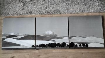 Ikea drieluik PJÄTTERYD serie 1999    beschikbaar voor biedingen