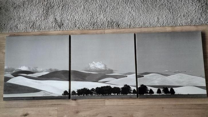 Ikea drieluik PJÄTTERYD serie 1999, Huis en Inrichting, Woonaccessoires | Schilderijen, Tekeningen en Foto's, Zo goed als nieuw