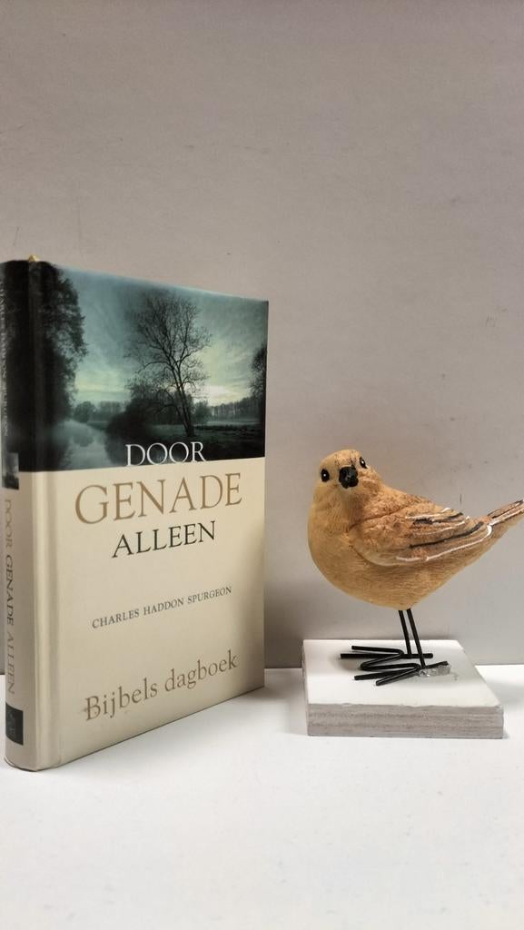 Spurgeon, C.H.; Door genade alleen (Bijbels dagboek), Ophalen of Verzenden, Gelezen, Christendom | Protestants