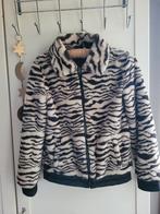 PERSIVAL VEST 164 ZEBRA ZACHT ZGAN, Persival, Meisje, Trui of Vest, Ophalen of Verzenden