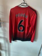 Pogba manchester united voetbal shirt kinder L, Maat XS of kleiner, Ophalen of Verzenden, Zo goed als nieuw, Shirt