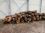 Boomstammen brandhout, es, eik, beuk, esdoorn, els, Tuin en Terras, Haardhout, 6 m³ of meer, Ophalen of Verzenden, Essenhout, Stammen