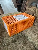 Pluimvee krat kippen vervoers kratten, Dieren en Toebehoren, Pluimvee, Geslacht onbekend, Overige soorten