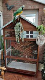 Vogelkooi te koop, Mannelijk, Parkiet