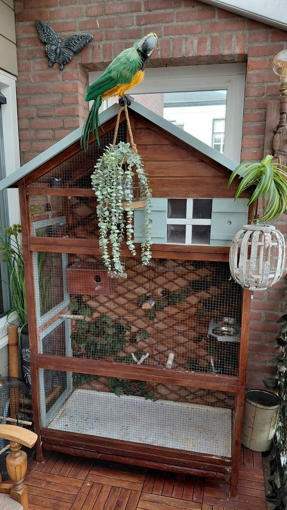 Vogelkooi te koop, Dieren en Toebehoren, Vogels | Parkieten en Papegaaien, Parkiet, Mannelijk