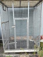 Kooi, Dieren en Toebehoren, Knaagdieren en Konijnen | Hokken en Kooien, Kooi, Ophalen of Verzenden, 90 cm of meer, 110 cm of meer