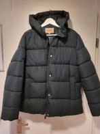 Nieuwe dames winterjas, Kleding | Dames, Grote Maten, Ophalen of Verzenden, Zo goed als nieuw, Groen, Jas of Mantel