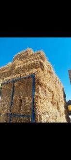 Strobalen klein, Dieren en Toebehoren, Dierenvoeding, Verzenden, Vee