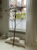 Grote Berenklauw - Decoratie, Huis en Inrichting, Ophalen, Gebruikt