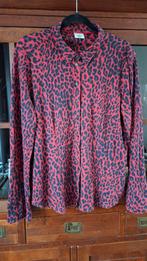 Desoto Dames Blouse Maat 46, Kleding | Dames, Blouses en Tunieken, Maat 46/48 (XL) of groter, Ophalen of Verzenden, Zo goed als nieuw