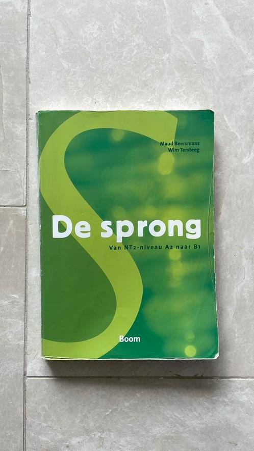 Maud Beersmans - De sprong, Boeken, Schoolboeken, Gelezen, Nederlands, Overige niveaus, Ophalen of Verzenden