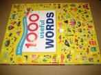 1000 USEFUL WORDS, Ophalen of Verzenden, Zo goed als nieuw