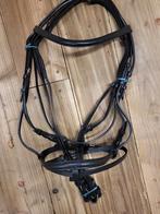 Hoofdstel maat full, Dieren en Toebehoren, Paarden en Pony's | Hoofdstellen en Tuigage, Ophalen of Verzenden, Nieuw, Overige soorten