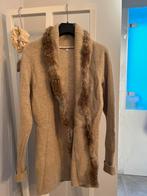 Vest van ontwerper Erny van Reymersdal, merino wol, zgan, Ophalen of Verzenden, Zo goed als nieuw, Beige