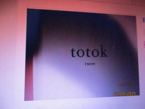 Totok Ii Auteur: A. van Dis 9789078670049, Boeken, Overige Boeken, Zo goed als nieuw, Ophalen of Verzenden