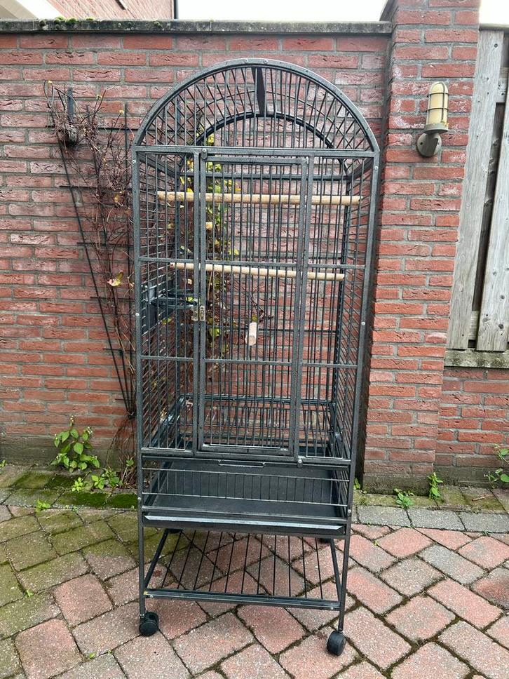 Vogelkooi, Dieren en Toebehoren, Vogels | Hokken en Kooien, Gebruikt, Vogelkooi, Metaal, Ophalen
