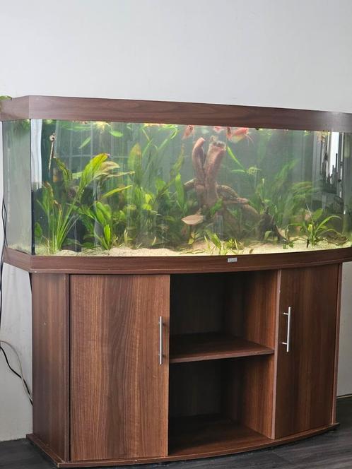 Juwel vision 450 Liter groot aquarium – met meubel compleet, Dieren en Toebehoren, Vissen | Aquaria en Toebehoren, Zo goed als nieuw