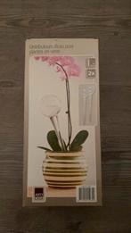 Glazen plant bewateringssysteem, Ophalen of Verzenden, Nieuw, Overige materialen