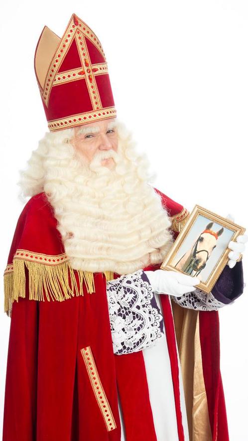 Sinterklaas op bezoek regio gelderland, Diversen, Sinterklaas, Nieuw, Ophalen of Verzenden