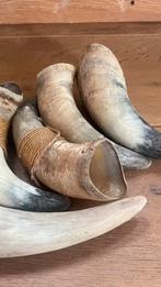 Decoratieve hoorns, Ophalen of Verzenden, Gebruikt, Overige materialen, Overige typen