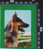 Sticker: Herdershond (1), Verzenden, Zo goed als nieuw, Dier en Natuur
