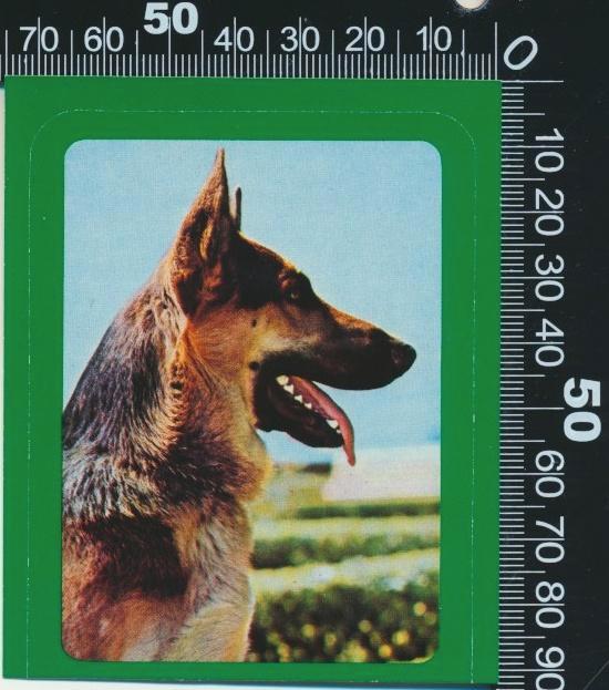 Sticker: Herdershond (1), Verzamelen, Stickers, Zo goed als nieuw, Dier en Natuur, Verzenden