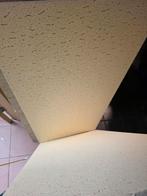 10 Plafondplaten voor systeemplafond, Doe-het-zelf en Verbouw, Platen en Panelen, Ophalen