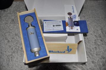BlueBird Condensor microfoon beschikbaar voor biedingen