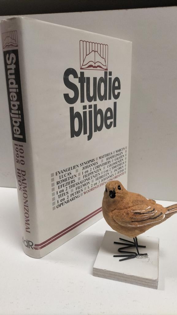 Studiebijbel;NT Dl 12:Woordst en Conc1010 daimonizomai–1995, Ophalen of Verzenden, Gelezen, Christendom | Protestants