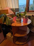 Mooie Lila Halfhoogslaper met Bureau en Opbergruimte, Kindermeubels, Gebruikt, 90 cm, Ophalen of Verzenden