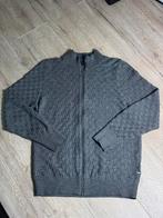 Louis Vuitton Damier Zipper (Maat L Grijs), Ophalen of Verzenden, Zo goed als nieuw, Grijs