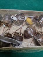 -	Decoratie noten van hout 12 stuks, Diversen, Kerst, Ophalen of Verzenden